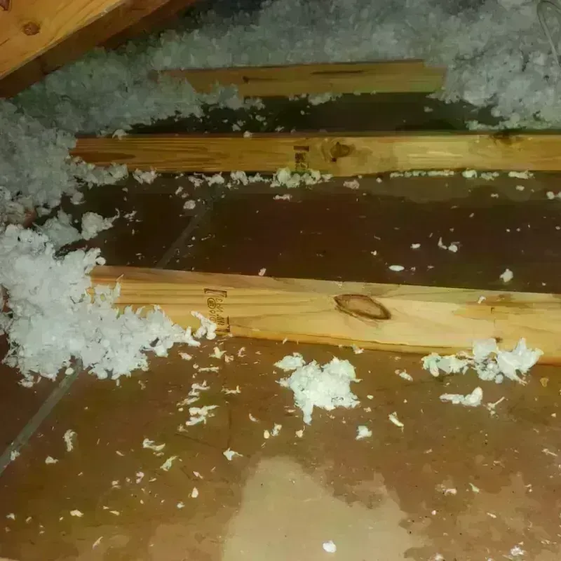 Attic Water Damage in Bethel, WA