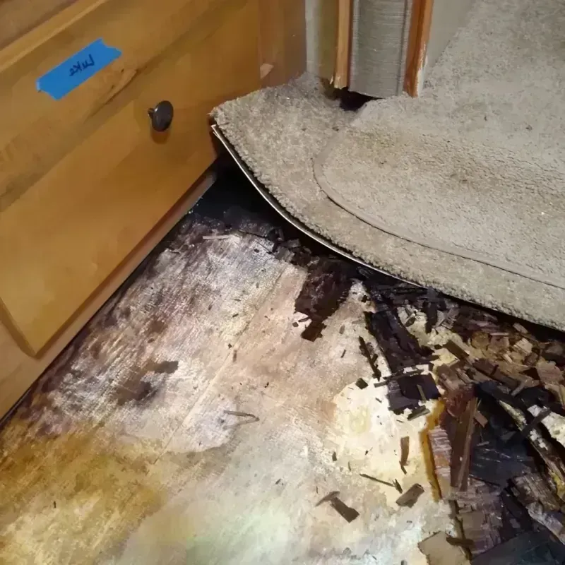 Wood Floor Water Damage in Bethel, WA